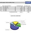 Asset Management Report Executive Roof Condition Index