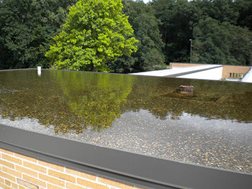 roof waterproofing, commercial roof design
