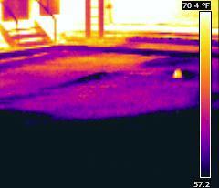 thermal imaging moisture scan