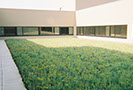 Green Roof System Project